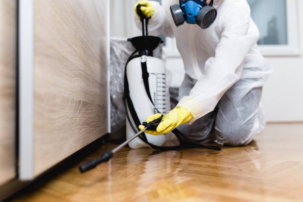Best Pest Removal Services  in Loveland, OH