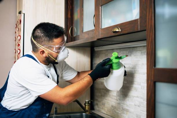 Best Wasp Removal Services  in Loveland, OH