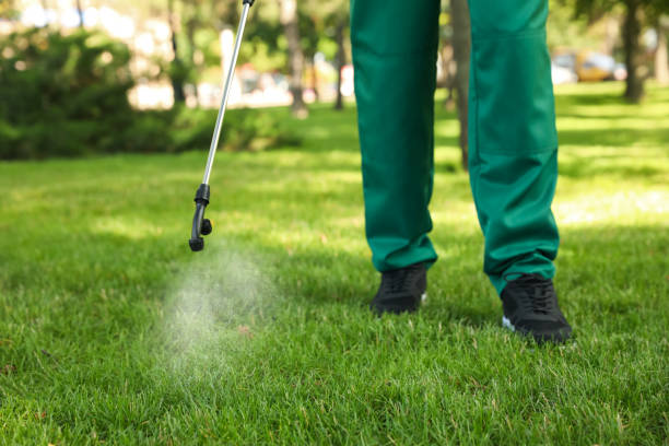 Professional Pest Control in Loveland, OH