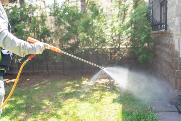 Best Termite Control Services  in Loveland, OH