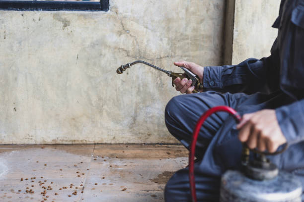Best Mosquito Control Services  in Loveland, OH